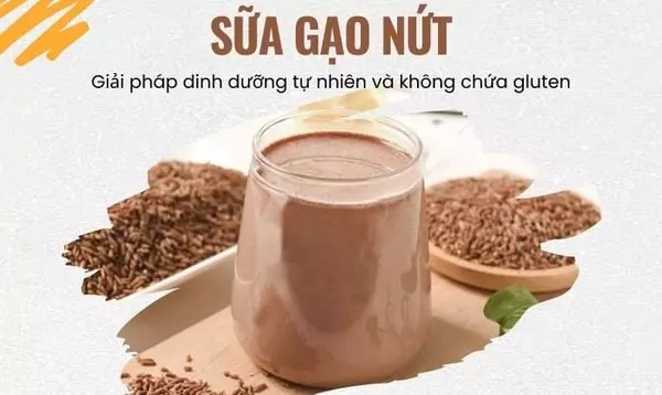 Các loại sữa hạt trên thị trường: Lựa chọn tuyệt vời cho sức khỏe