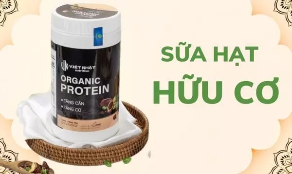 Các loại sữa hạt trên thị trường: Lựa chọn tuyệt vời cho sức khỏe