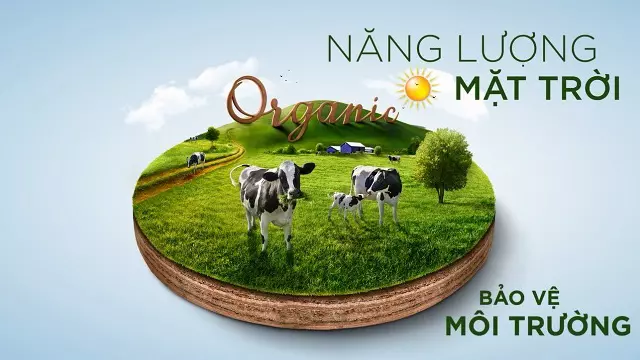 Bảo vệ môi trường