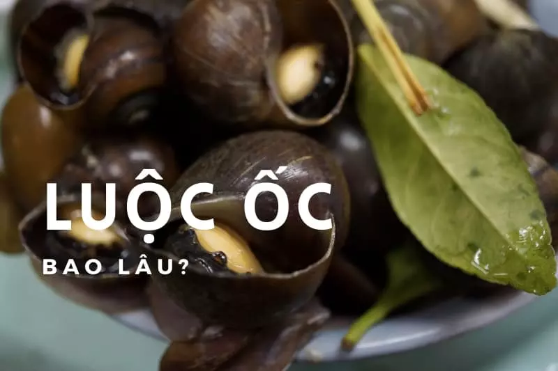 Luộc ốc bao lâu thì chín?