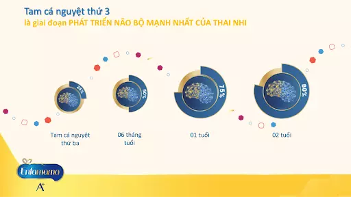 Enfamama A+ bổ sung đầy đủ các dưỡng chất quan trọng trong suốt thời gian mang thai và cho con bú