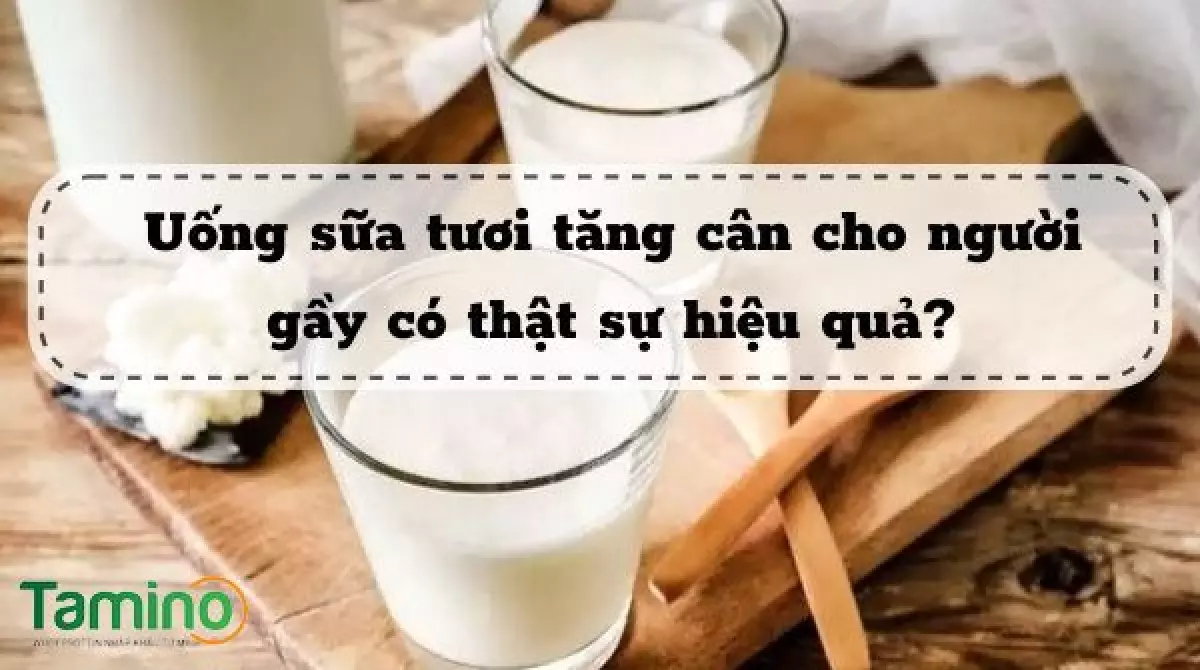 Uống sữa tươi tăng cân cho người gầy có thật sự hiệu quả?