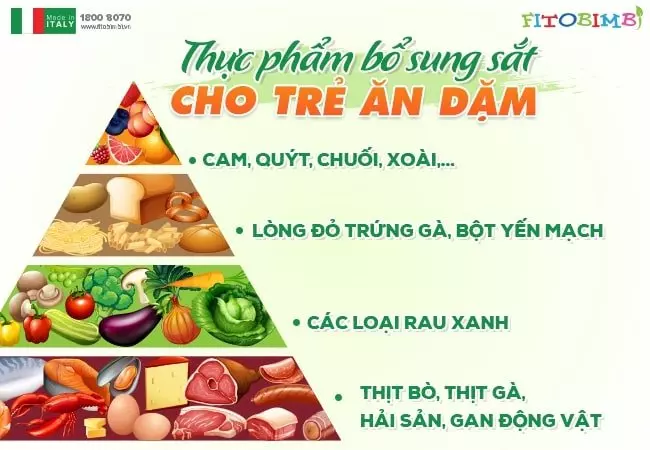 Thực phẩm giàu sắt cho bé ăn dặm