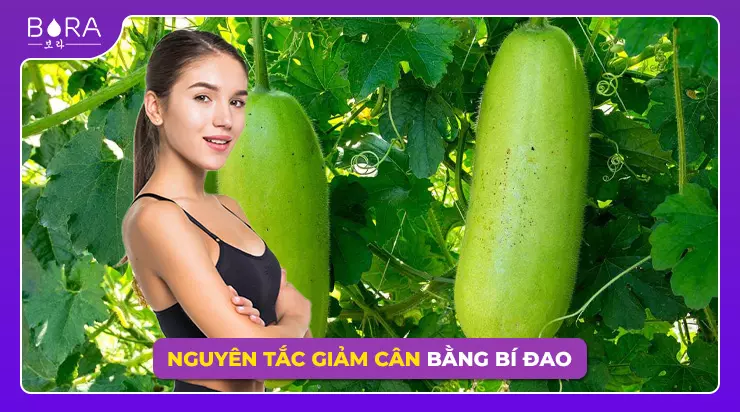 Thực hiện các nguyên tắc để có quá trình giảm cân bằng bí đao hiệu quả