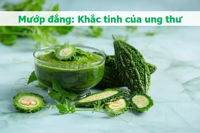 Trà mướp đắng là đồ uống có lợi nhất cho việc hấp thụ của cơ thể