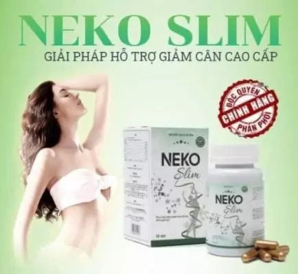 Thành phần Neko Slim