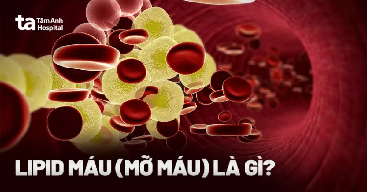 Lipid máu (mỡ máu) là gì?