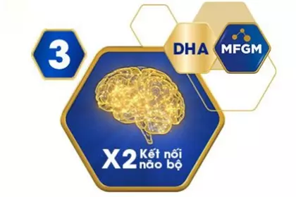 DHA và MFGM - Tăng cường phát triển trí tuệ và trí não