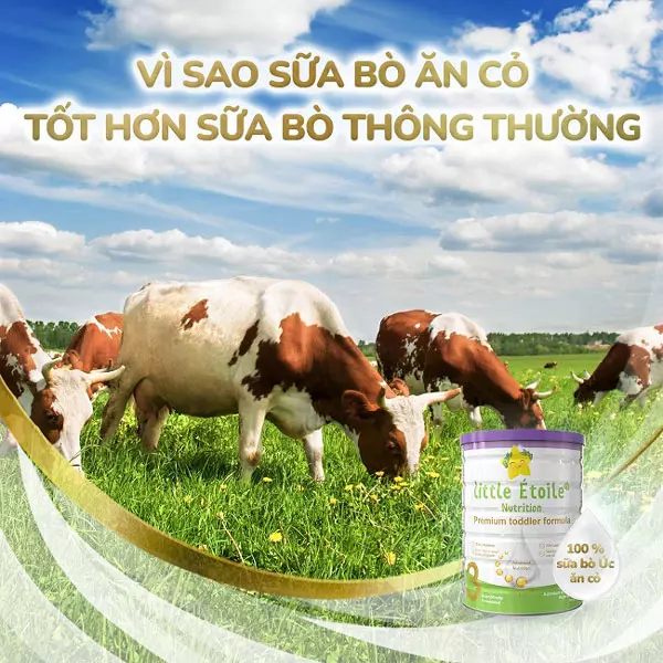 Sữa Ngôi sao nhỏ Little Étoile số 3 lon 800g cho trẻ 1-3 tuổi