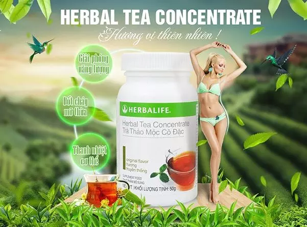 Trà thảo mộc cô đặc giảm cân Herbalife Tea Concentrate