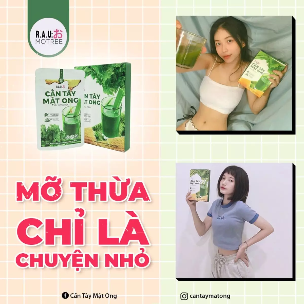 Cần tây mật ong Motree