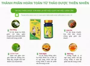 Thành Phần Giảm Cân Sơn Mai