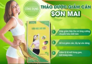 Công Dụng Giảm Cân Sơn Mai