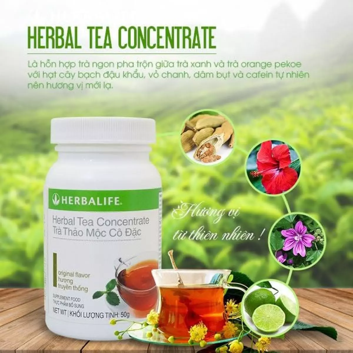 HERBALIFE - Bộ 4 sản phẩm hỗ trợ giảm cân nâng cao (F1, F2, PPP, Trà)