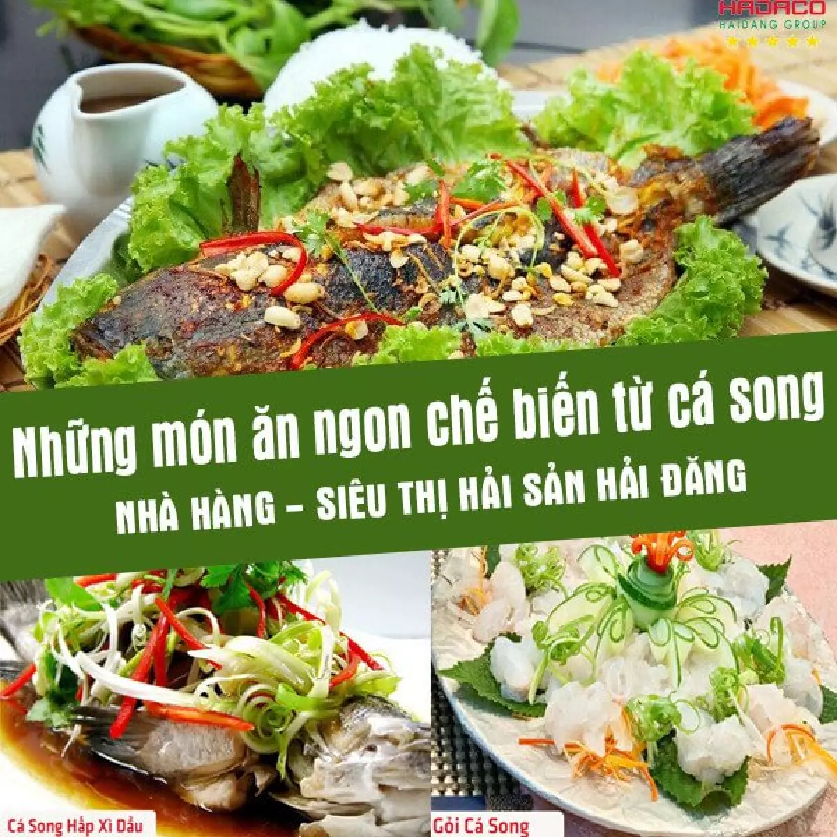 nhung mon an ngon che bien tu ca song