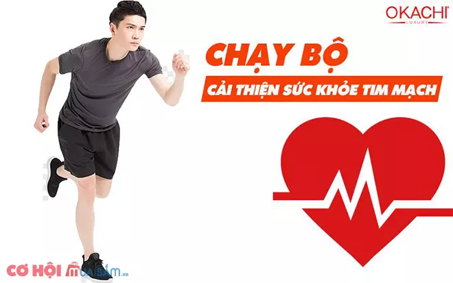 Tìm hiểu chạy bộ tại chỗ có giảm mỡ bụng không - Ảnh 2