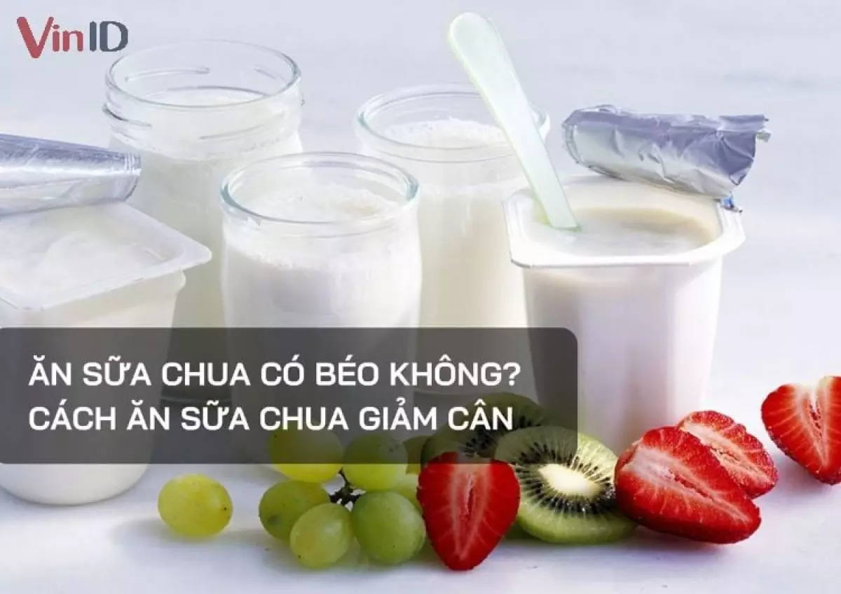 Ăn sữa chua có béo không