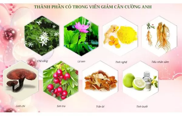 Thành phần trà giảm cân Slim Be Cường Anh.