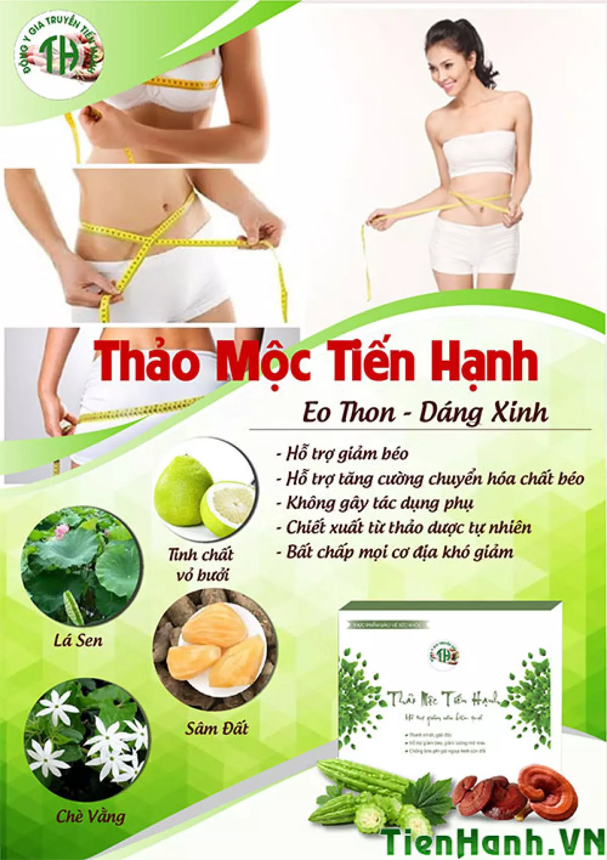 Thảo mộc giảm cân Tiến Hạnh