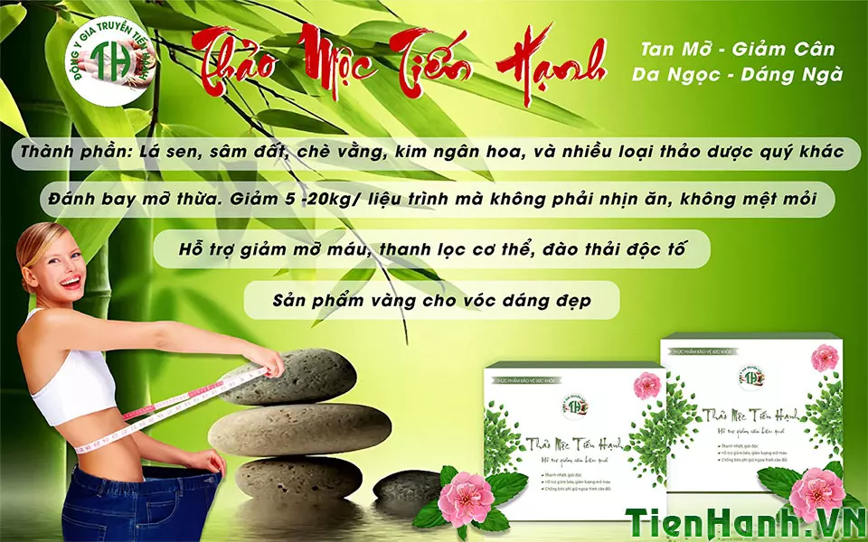 Thành phần giảm cân Tiến Hạnh