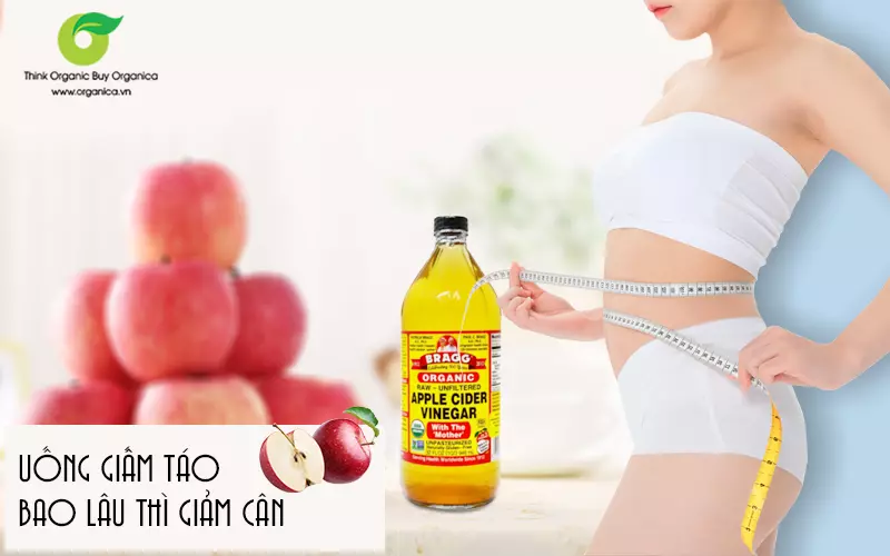 giấm táo giảm cân