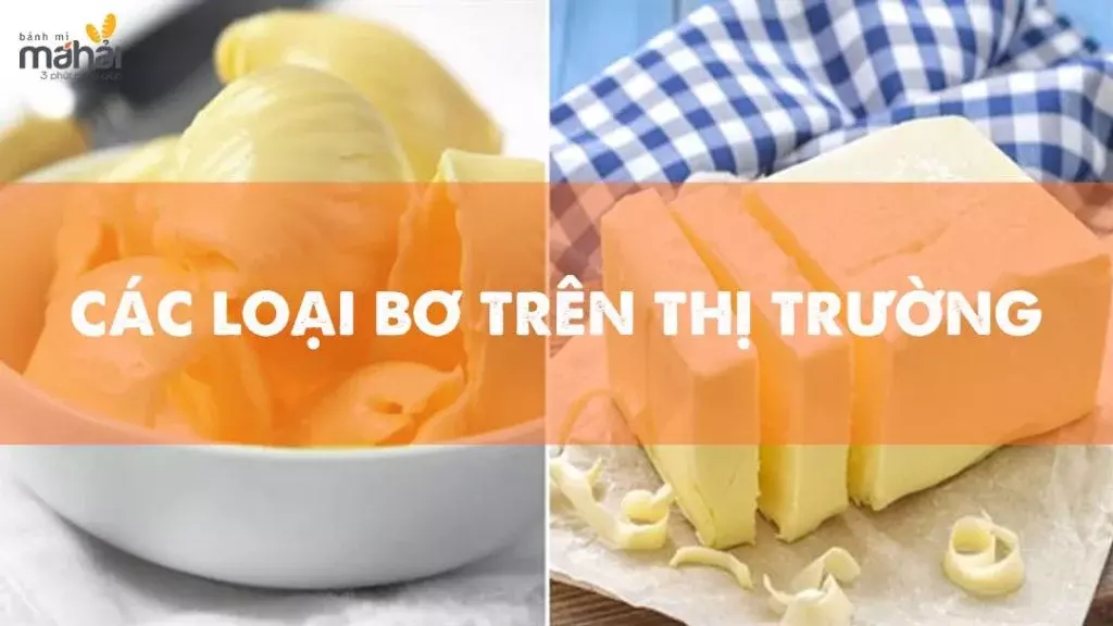 Các loại bơ trên thị trường là bơ gì?