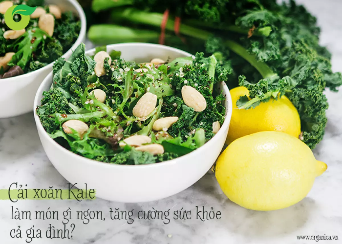 Cải xoăn Kale