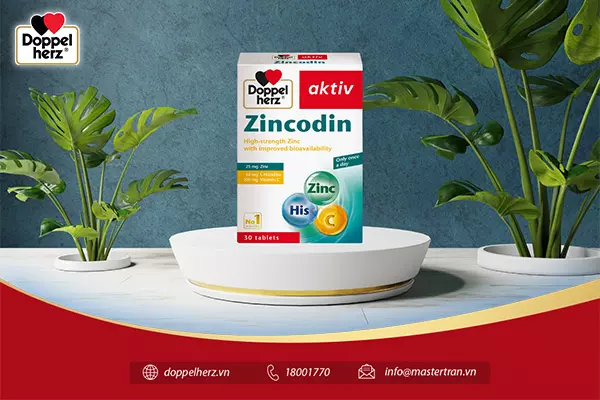 Zincodin bổ sung kẽm, L-Histidine, vitamin C cho cơ thể