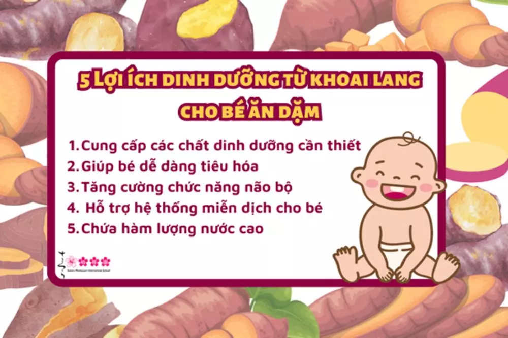 5 Lợi ích dinh dưỡng từ khoai lang cho bé ăn dặm