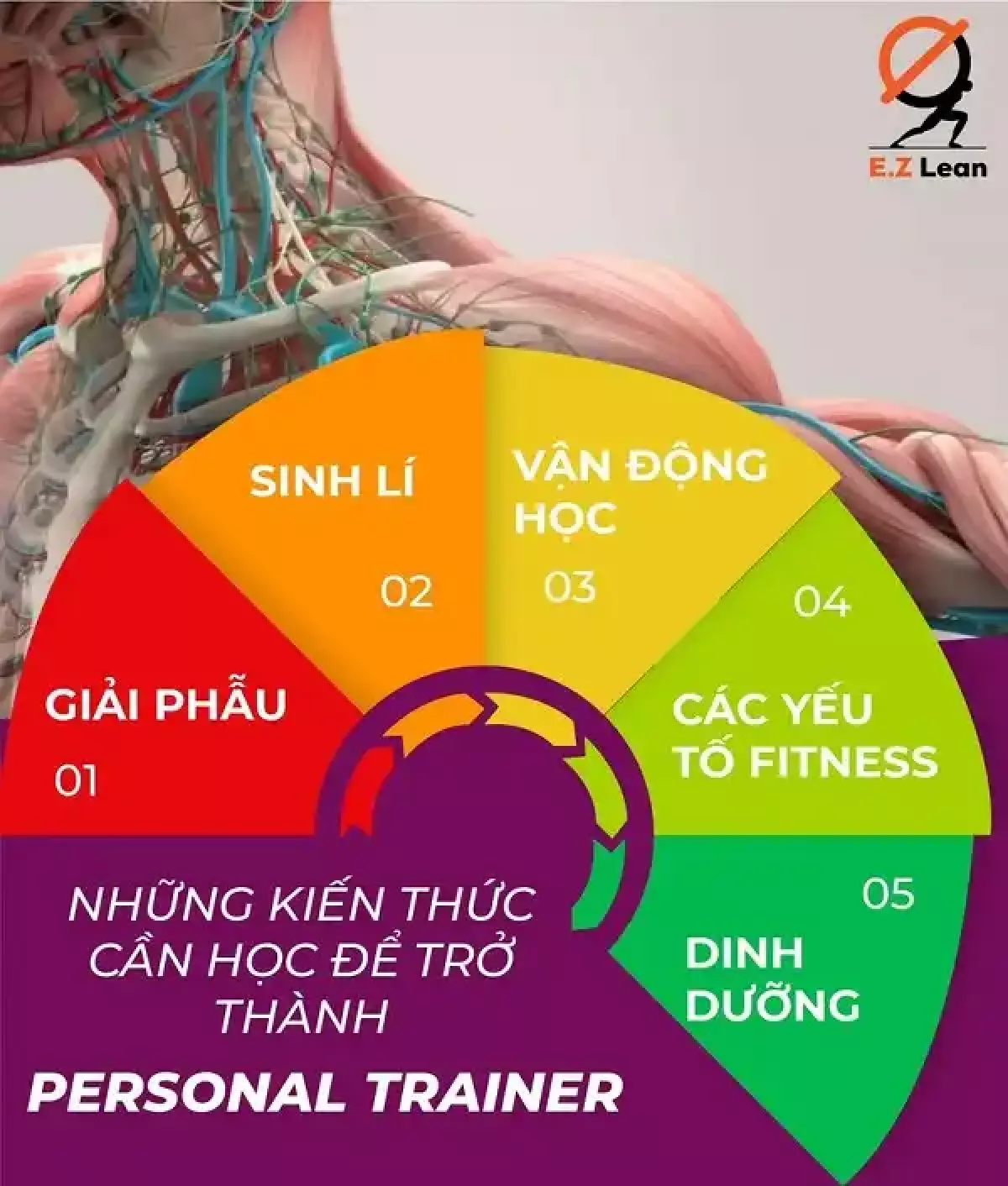 Những kiến thức cần học để thành PT