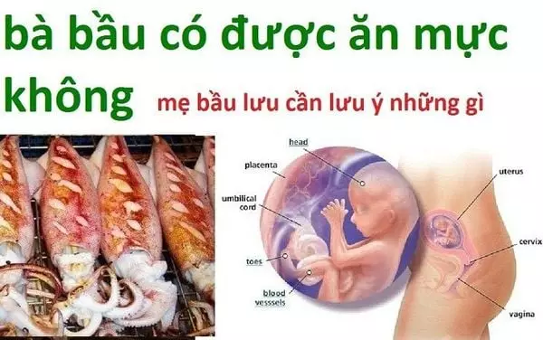 Bầu ăn khô mực được không? Mẹ bầu cần lưu ý điều gì?