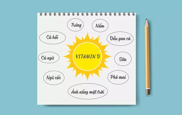 Những nguồn cung cấp vitamin D