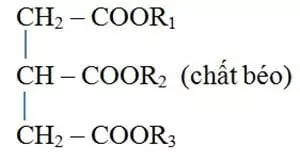 chuyển hóa năng lượng thành tế bào mỡ