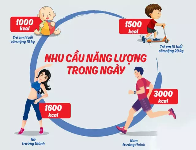 phân giải mỡ thành năng lượng phục vụ cơ thể