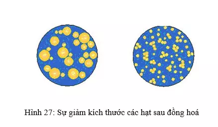 Quá trình đồng hoá làm giảm kích thước hạt