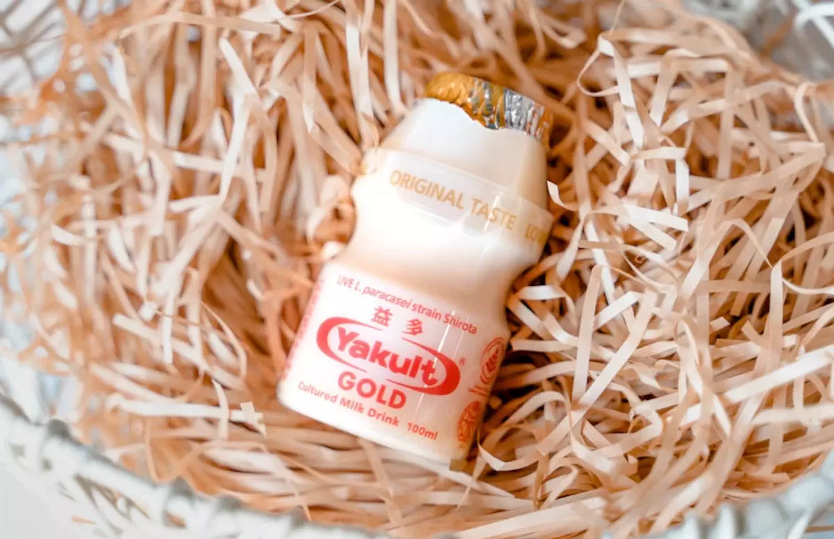 cách bảo quản sữa Yakult