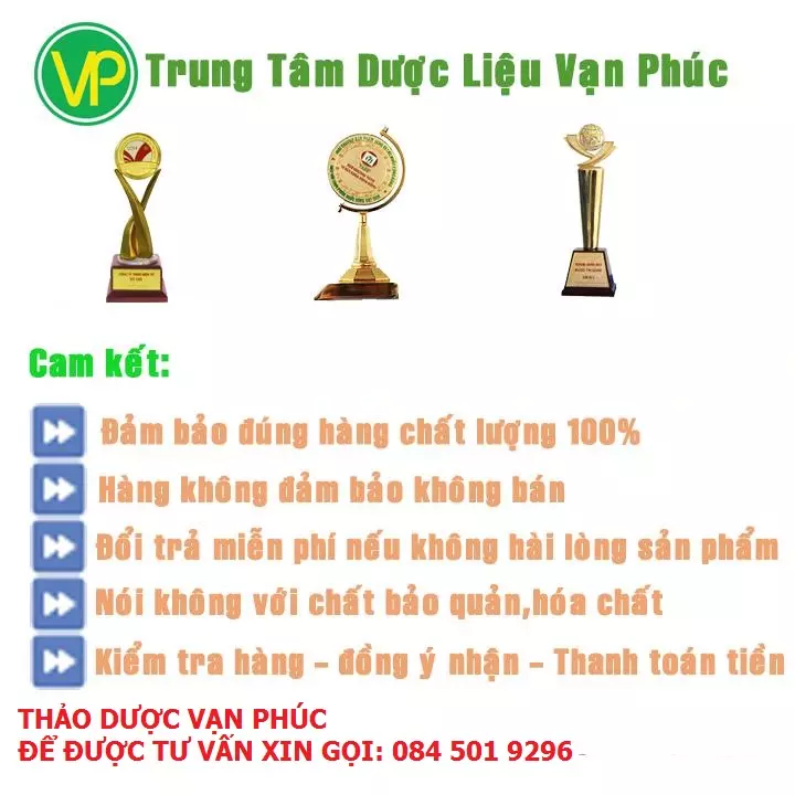 Mua cây mã đề ở đâu tại TPHCM