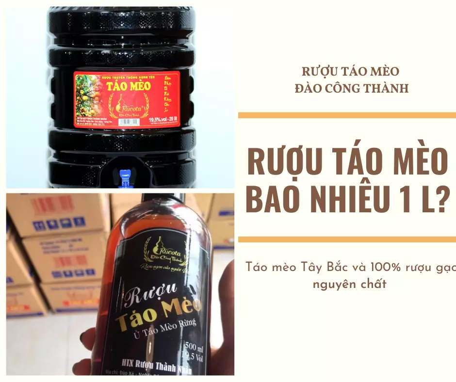 Mua rượu táo mèo ngon tại hà nội