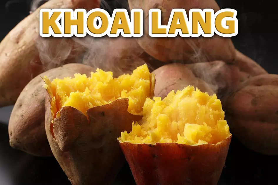 Khoai lang