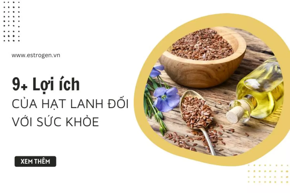 9+ Lợi ích của hạt lanh đối với sức khỏe 1