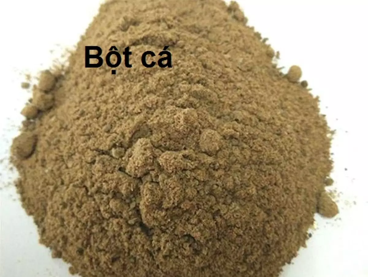 Bột cá