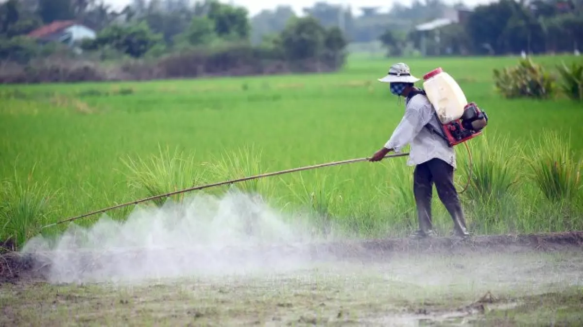 Thuốc trừ sâu hóa học