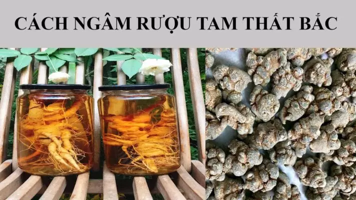 Rượu Tam Thất có tác dụng gì?