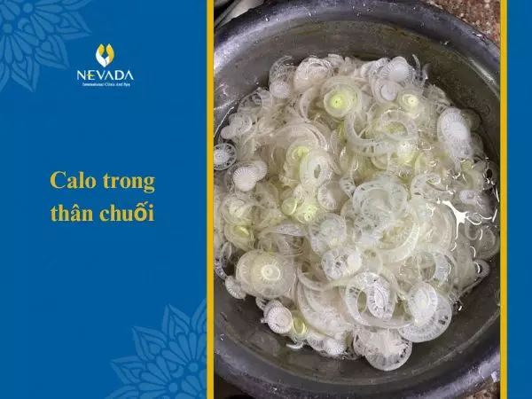 Calo trong thân cây chuối