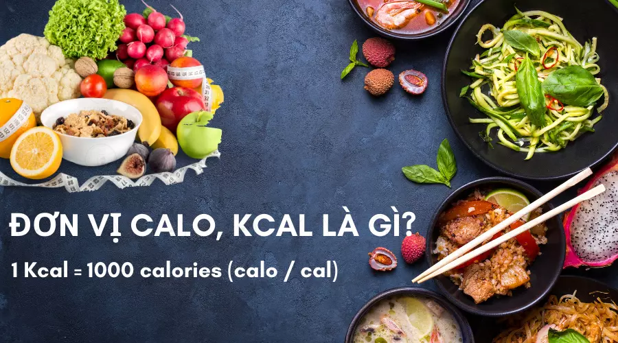 Đơn vị calo, Kcal là gì?