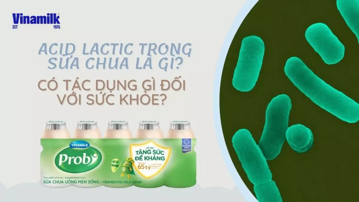 Tìm hiểu acid lactic trong sữa chua