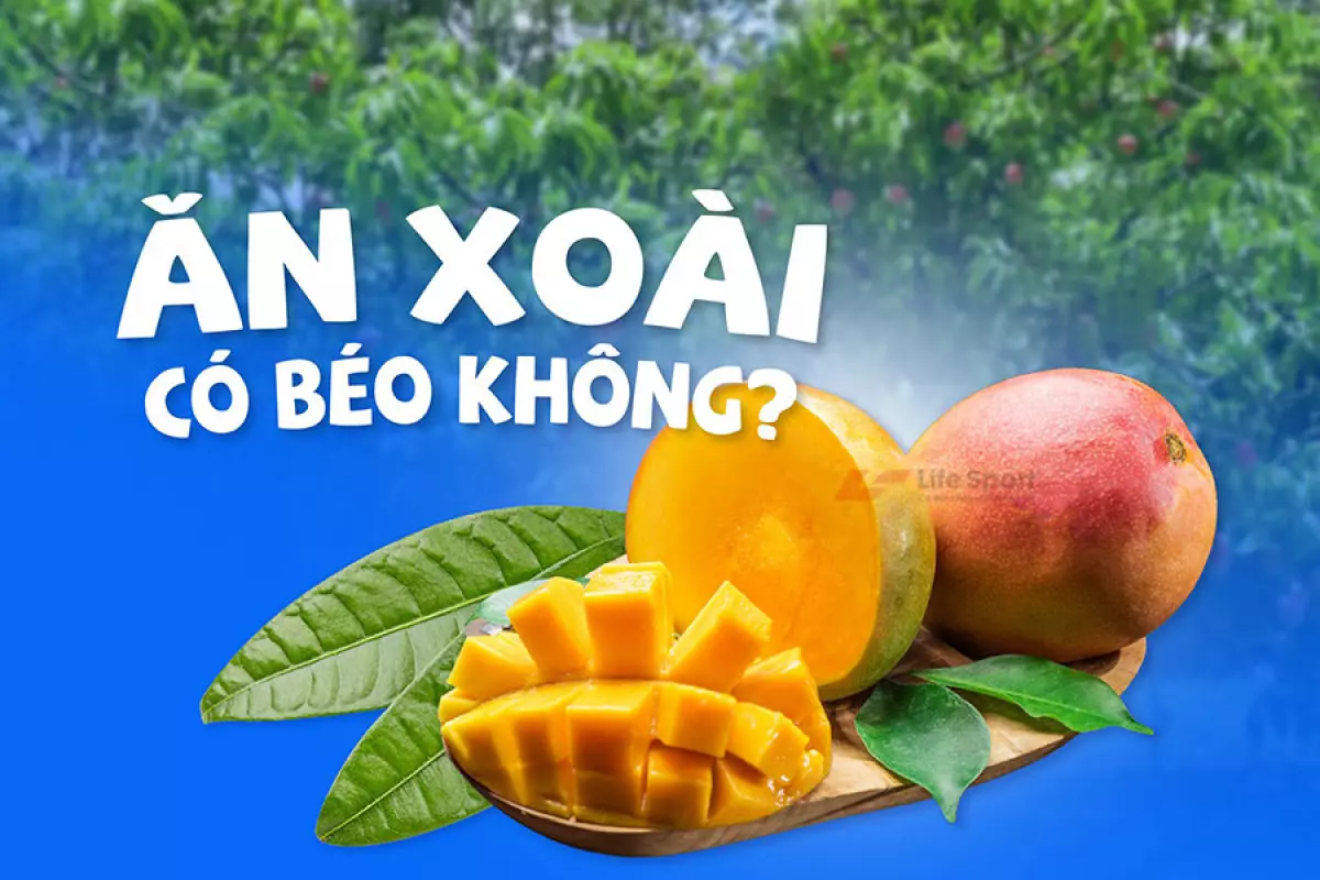 an xoai co beo khong thumbnail