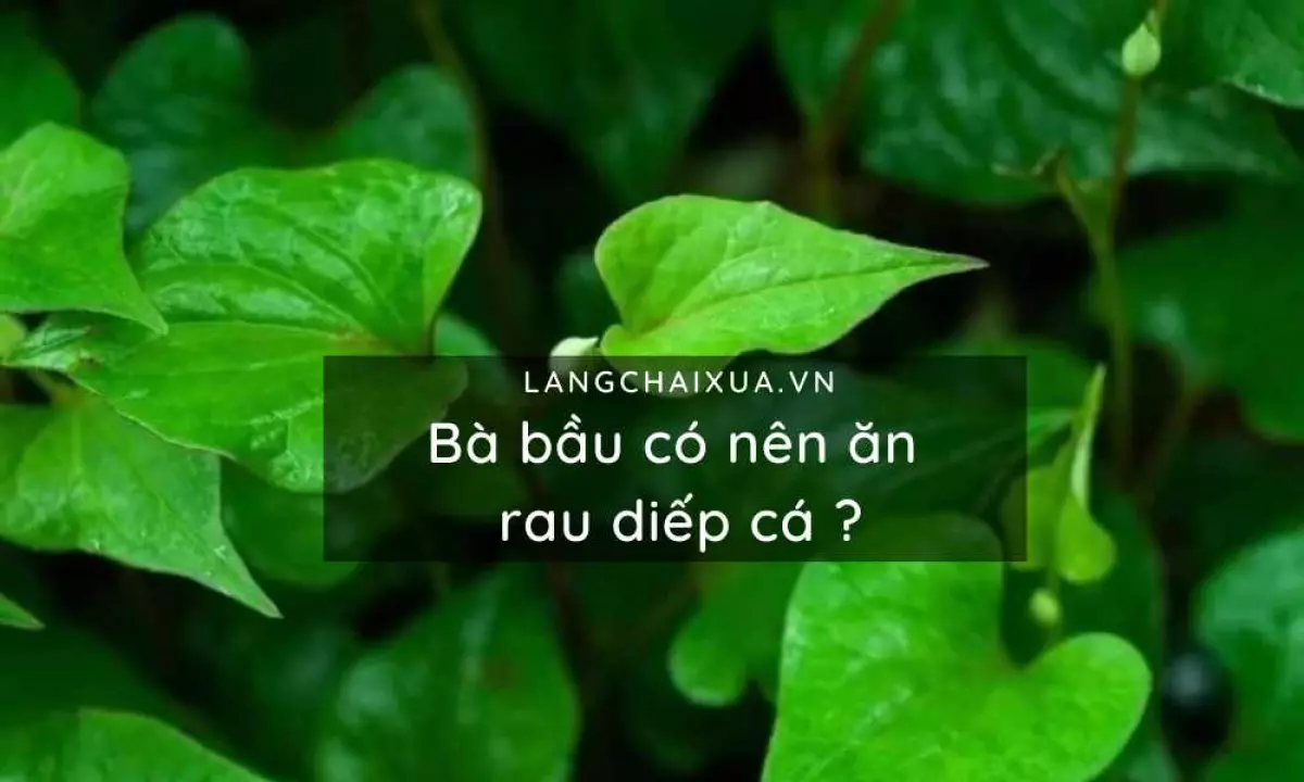 ba bau co nen an rau diep ca loi ich bat ngo ma me chua he biet