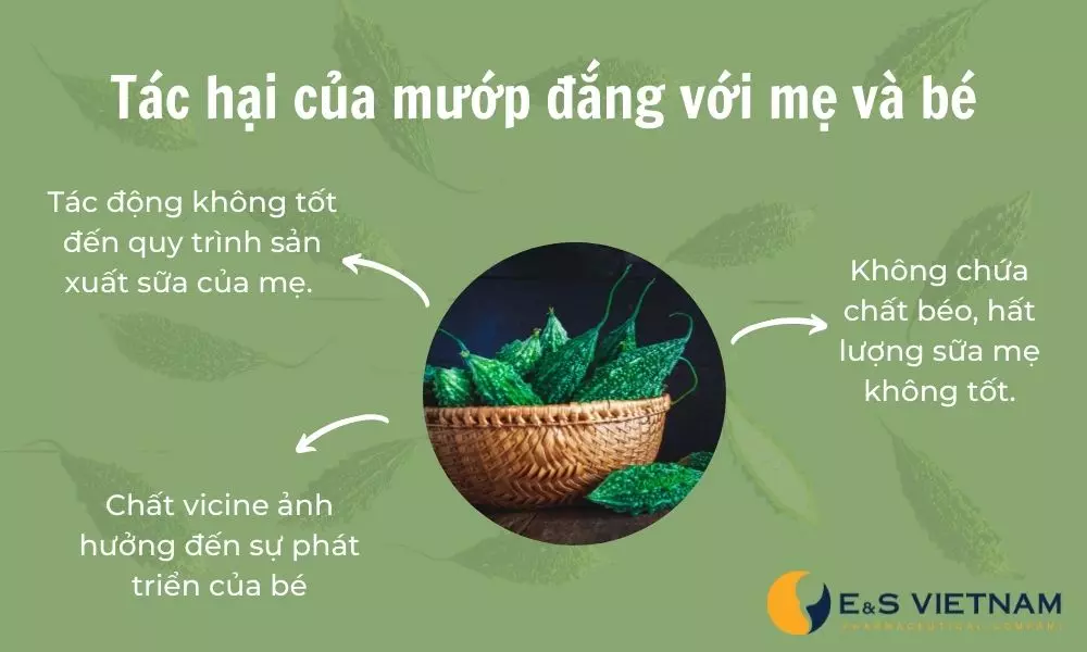 Ăn mướp đắng có mất sữa không