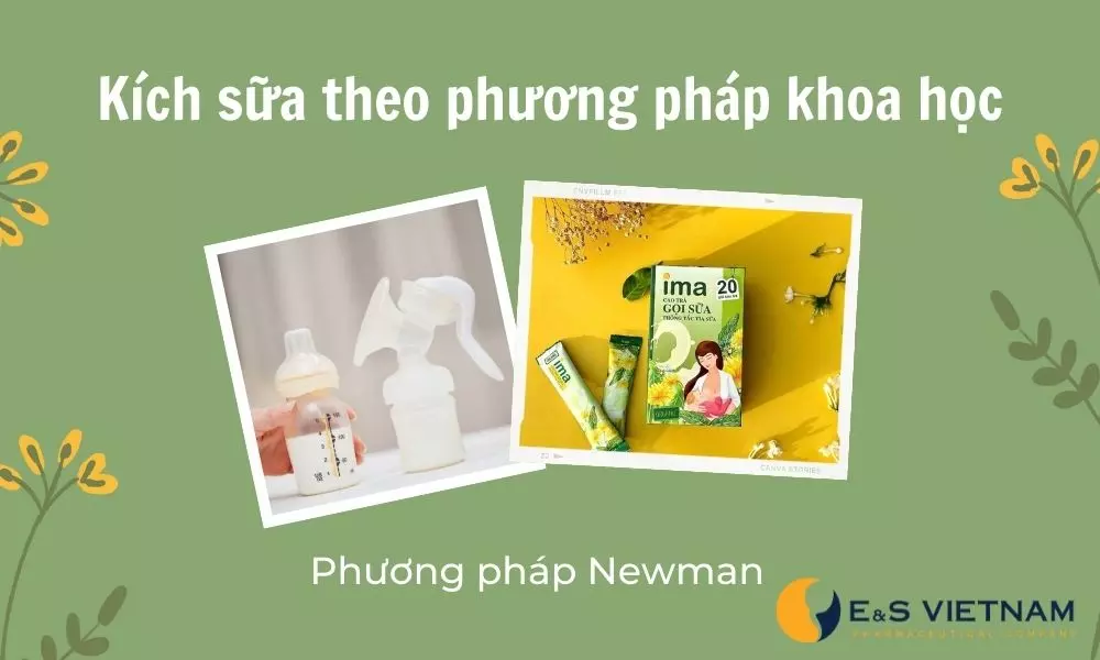 Sử dụng phương pháp kích sữa Newman để lấy lại sữa